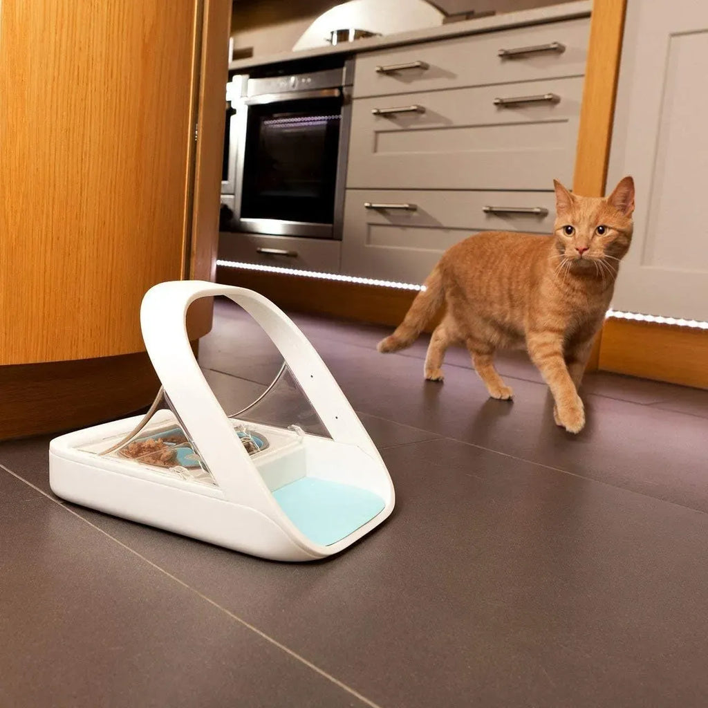 Distributeur automatique de nourriture pour animaux - distributeur à puce électronique MPF001 - pour aliments humides et secs - serviette pour animaux eOutletDeals offerte