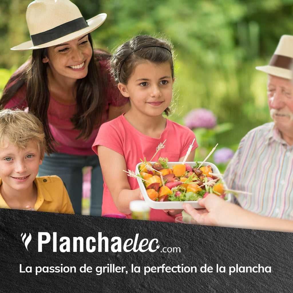 Pack Plancha Electrique LUX 830 - Chariot Rivoli + Accessoires - Inox - Finitions Carbon - 3 Thermostats Réglables - Made In France - L83 X P45 X H20 cm