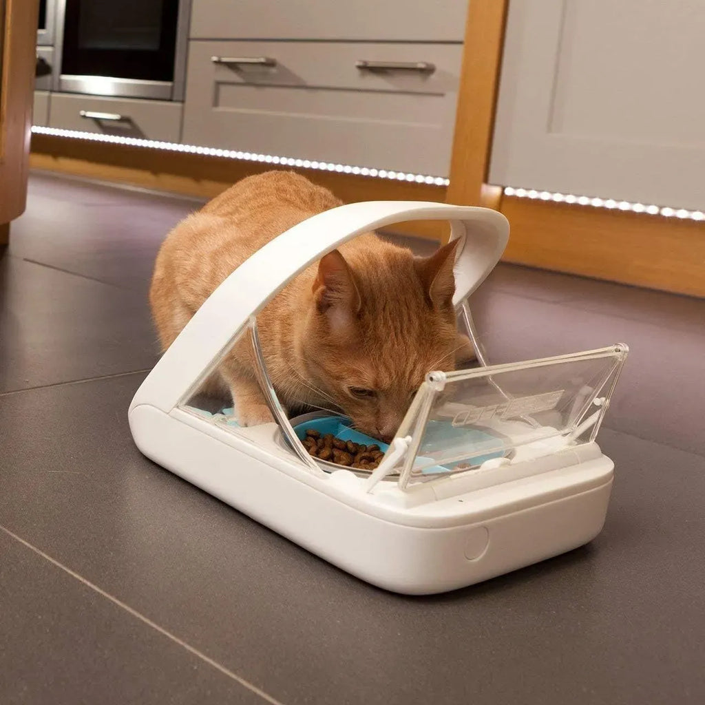 Distributeur automatique de nourriture pour animaux - distributeur à puce électronique MPF001 - pour aliments humides et secs - serviette pour animaux eOutletDeals offerte