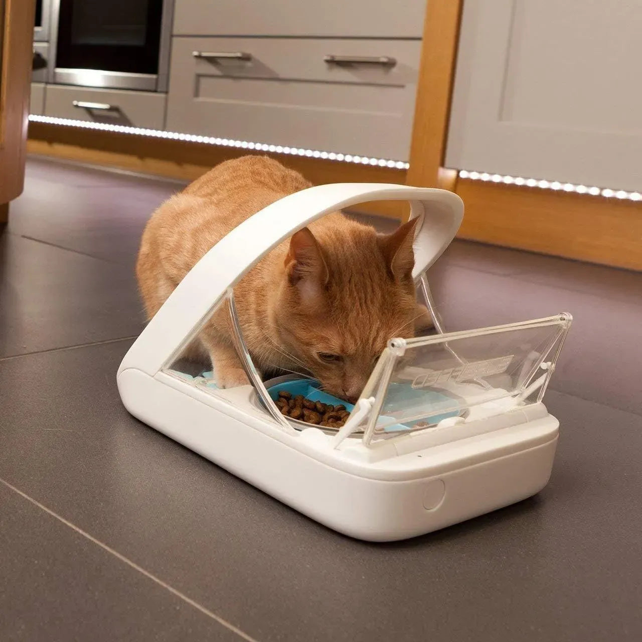 Distributeur automatique de nourriture pour animaux - distributeur à puce électronique MPF001 - pour aliments humides et secs - serviette pour animaux eOutletDeals offerte